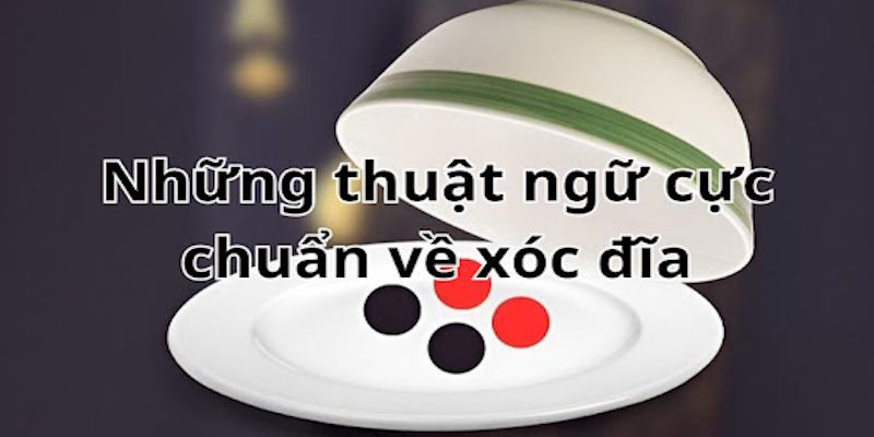 Hội viên cần nắm rõ thuật ngữ trước khi tham gia Hội viên cần nắm rõ thuật ngữ trước khi tham gia